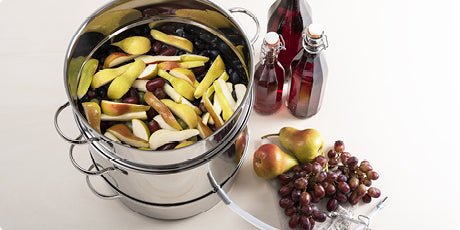 KELOMAT Dampfentsafter 10L aus Edelstahl - Schonende Saftherstellung für alle Herdarten inkl. Induktion - haftig.at